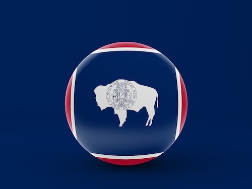 A ball with the Wyoming seal